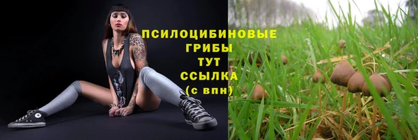 гидра Нягань