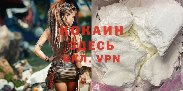 индика Осташков