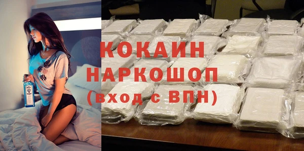 сатива Заводоуковск